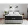 Cahaba Bedding Collection Twilight Lily Soft Pillow Top Twin Mattress